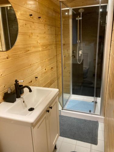 een badkamer met een wastafel en een douche bij Berghut in Doorn