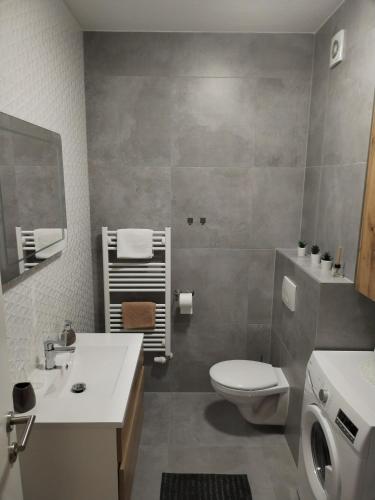a bathroom with a toilet and a sink at Studio apartman Implex in Đakovo