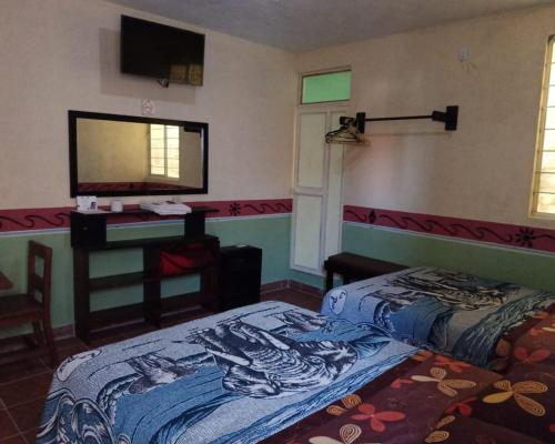 Schlafzimmer mit einem Bett, einem Schreibtisch und einem Spiegel in der Unterkunft El Portón de Cortés in Tepeaca