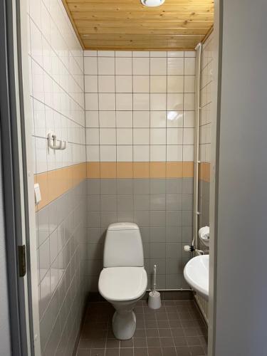 ユリビエスカにあるIso huoneisto 4のバスルーム(トイレ、洗面台付)