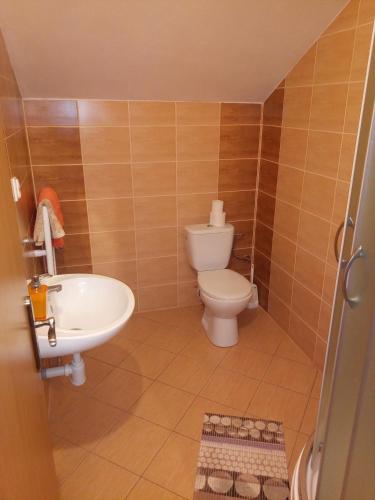 a small bathroom with a toilet and a sink at Jazdecký areál Budička in Trnie