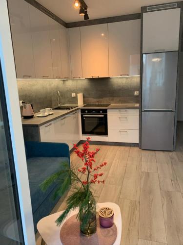 Kuchyňa alebo kuchynka v ubytovaní Apartament - Brzeska For You
