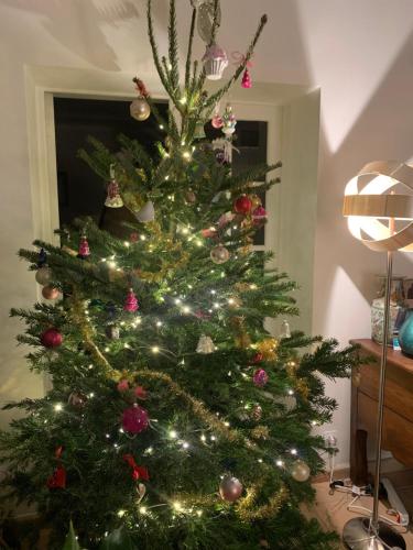 a christmas tree with lights and ornaments on it at Le prieuré de Saint Thibault in Saint-Thibault-des-Vignes