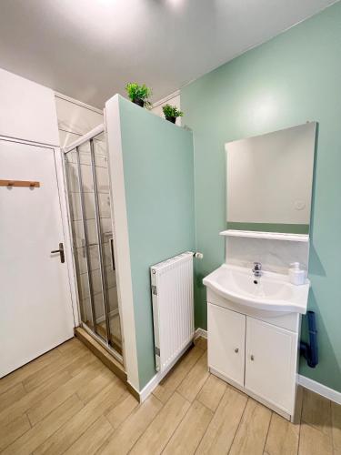 une salle de bain avec un lavabo et un miroir dans l'établissement Cosy 0 , Mulhouse centre, à Mulhouse