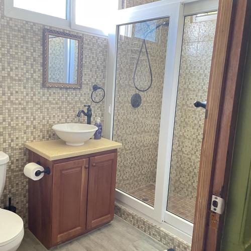 a bathroom with a sink and a glass shower at Travellers Villa in Roseau