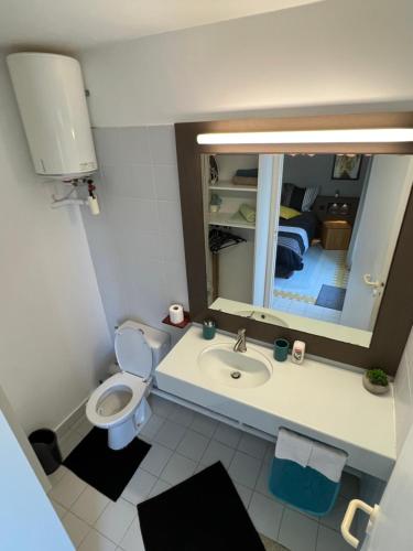 La salle de bains est pourvue de toilettes, d'un lavabo et d'un miroir. dans l'établissement PETIT COIN DE PARADIS, à Saint-François