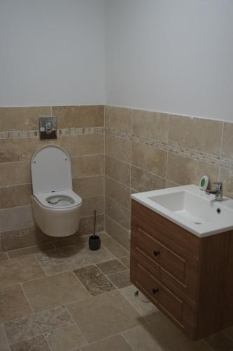 a bathroom with a toilet and a sink at La Ferme Décroué in Saint-Waast-la-Vallée