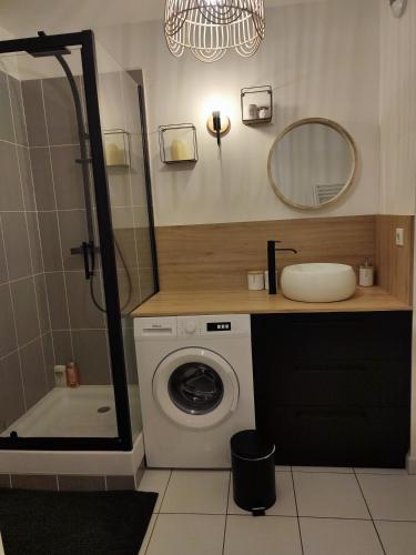 W łazience znajduje się pralka i lustro. w obiekcie T2 en centre ville avec place de parking privative w mieście Le Mans