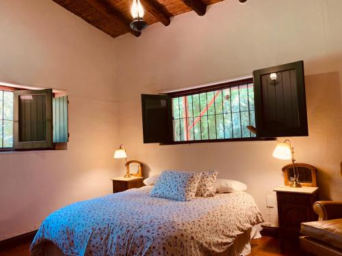 1 dormitorio con 1 cama y 2 ventanas en Casa tradicional en Chacras de Coria en Luján de Cuyo