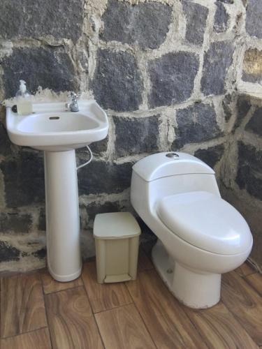 ein Bad mit einem WC und einem Waschbecken in der Unterkunft Casa de Cristal-Retiros Esenciales Costa Rica in Cartago