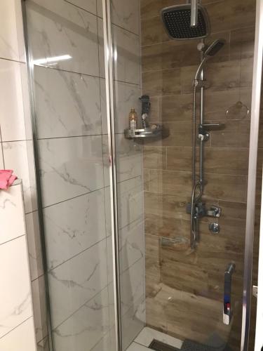 a shower with a glass door in a bathroom at Gabi apartman in Vranje