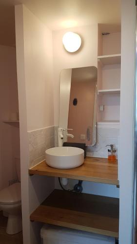 a bathroom with a sink and a mirror at Le point de vue in Albi