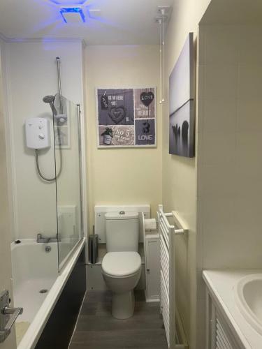 een badkamer met een toilet, een douche en een wastafel bij Hector's Bothy flat in Kyle of Lochalsh