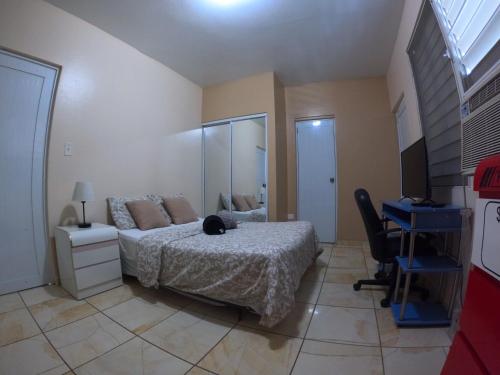 a bedroom with a bed with a cat laying on it at Apartament In Town Ponce- Free Wifi & Ac in Ponce