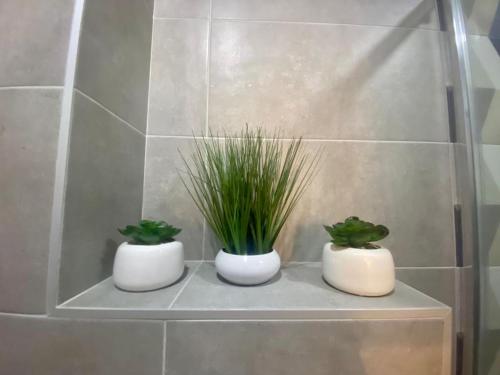 dos ollas blancas con plantas en un estante en un baño en SMILJANA, en Banja Koviljača