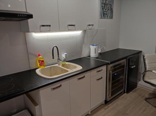 Kuchyň nebo kuchyňský kout v ubytování Eye of the Tiger. Apartament w centrum Mrągowa.