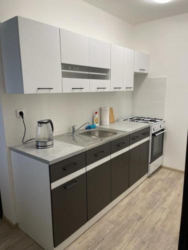 A kitchen or kitchenette at Apartment Patera 2