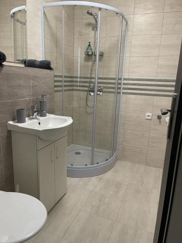 a bathroom with a shower and a sink at Apartment Patera 2 in Meziboři
