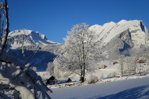 Ferienwohnung Moosbrugger – Photos 5