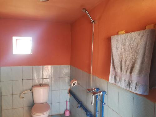 a bathroom with a toilet and a shower at Gite Amoudou in Ouarzazate