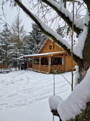 una cabaña de madera en la nieve con árboles nevados en Woda i Las, en Jeżewo