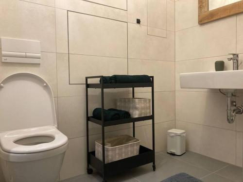 ein Bad mit einem WC und einem Waschbecken in der Unterkunft Komfortný apartmán A407 v centre NR, bez kuchyne, parkovisko zdarma in Nitra