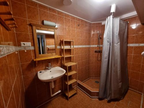 a bathroom with a sink and a shower at Westzicht in Den Burg