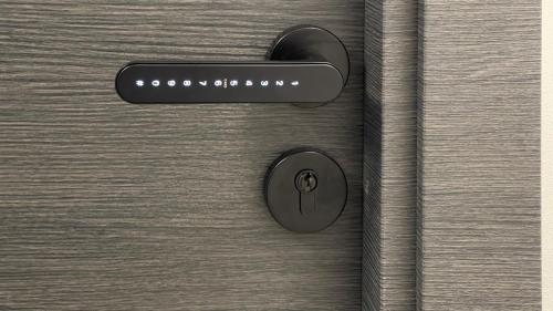 a black door handle on a wooden door at APARTHOTEL in Przemyśl