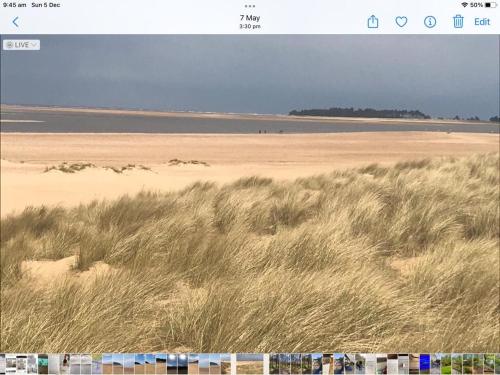 a picture of a beach with tall grass at Curlew Cottage in Sedgeford