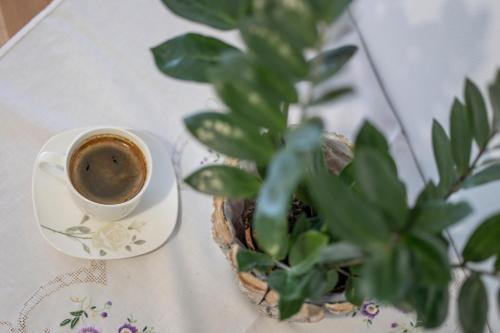a cup of coffee and a potted plant on a table at Sielanka w górach in Gliczarów Górny