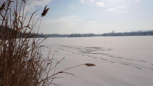 a snow covered field with tracks in the snow at Palatinus Apartman Esztergom in Esztergom
