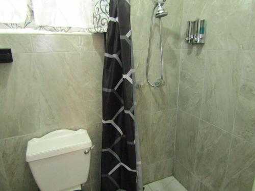 a bathroom with a shower and a toilet and a sink at Cozy 1 bed Apt 2B in Rockley near American Embassy in Bridgetown