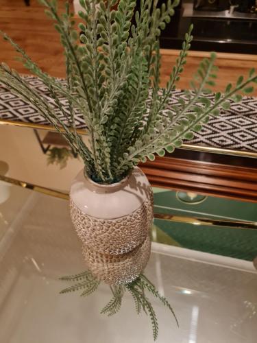 a vase with a plant in it on a table at The Grove House with Free Parking in Hull