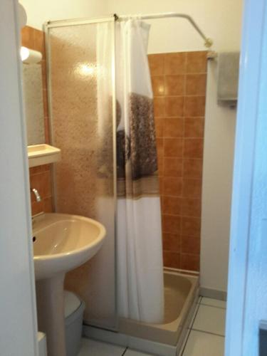 une salle de bain avec une douche, des toilettes et un lavabo dans l'établissement Joli Studio centre ville Digne les Bains Galion 80, à Digne-Les-Bains