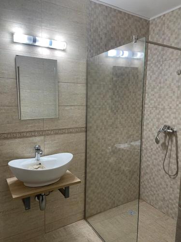 a bathroom with a sink and a glass shower at Pensiunea Sarah-Muntele Mic in Muntele Mic