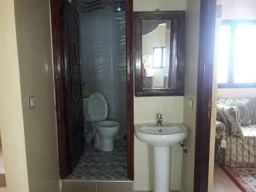 メルズーガにあるAppartement merzougaのトイレと洗面台付きのバスルーム