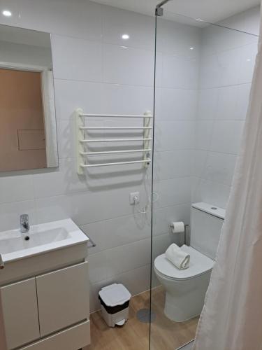 Boavista Cosy Apartments في بورتو: حمام مع مرحاض ودش زجاجي