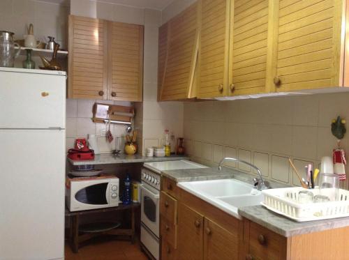 a kitchen with a sink and a white refrigerator at Feliz Costa Brava Apartamento in Portbou