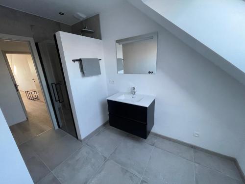 a bathroom with a sink and a mirror at THE 77 work or holiday new home in Houthem