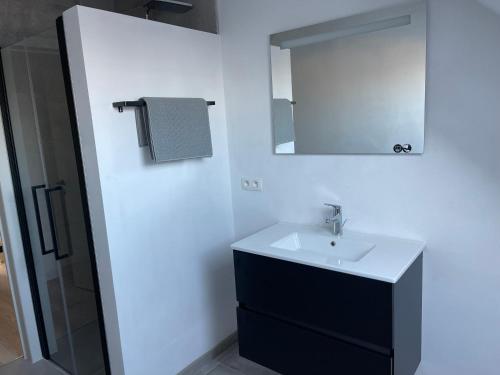 a bathroom with a sink and a mirror at THE 77 work or holiday new home in Houthem