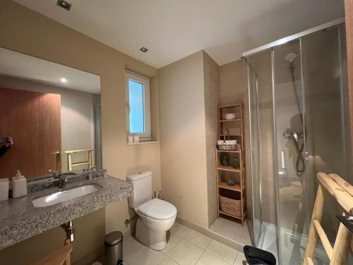 a bathroom with a toilet and a shower and a sink at Apartamento Premium en Ribasol Ski & Mountain Park in Arinsal