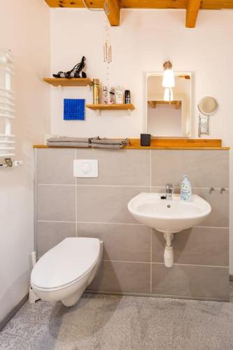 a bathroom with a toilet and a sink at Apartment Wilhelmstr für bis zu 3 Personen in Brühl