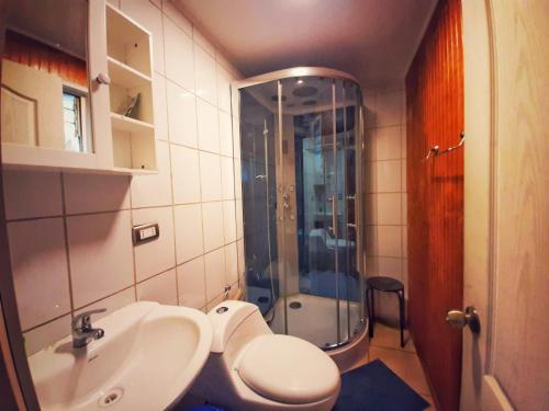 La salle de bains est pourvue d'un lavabo et d'une douche. dans l'établissement departamentos don Pato, à Castro
