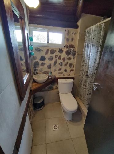 a small bathroom with a toilet and a sink at Cabañas El Molino in Potrerillos