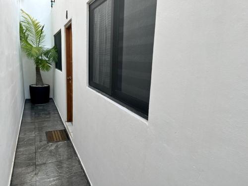 a hallway with a window and a potted plant at AHAU Playa in Playa del Carmen