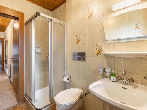 a bathroom with a toilet and a sink and a shower at Ferienwohnungen-LIPPENHOF in Sankt Jakob in Defereggen