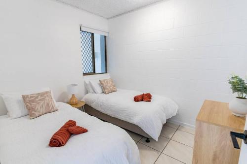 two beds in a room with white walls at Little Coastal Haven apartment with a pool! in Cannonvale