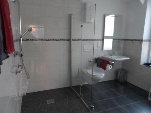 ein Bad mit einem WC, einer Dusche und einem Waschbecken in der Unterkunft Gästehaus Alfons und Marianne Eifel in Trittenheim