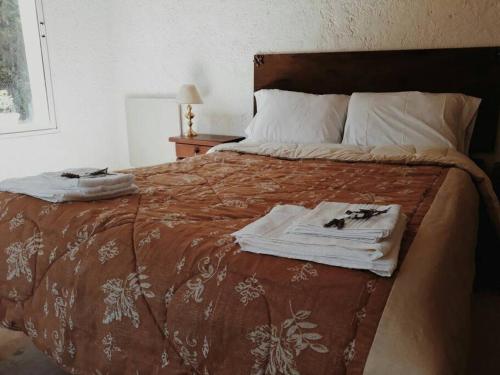 ein Schlafzimmer mit einem Bett mit Handtüchern darauf in der Unterkunft Casa Ramal in Ciudad Lujan de Cuyo