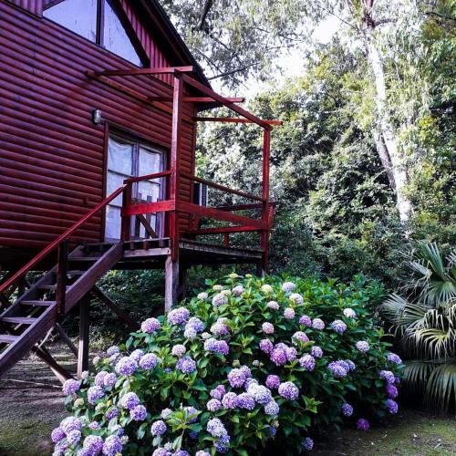 una casa rossa con una scala accanto a un mazzo di fiori di Albaricoque a Tigre